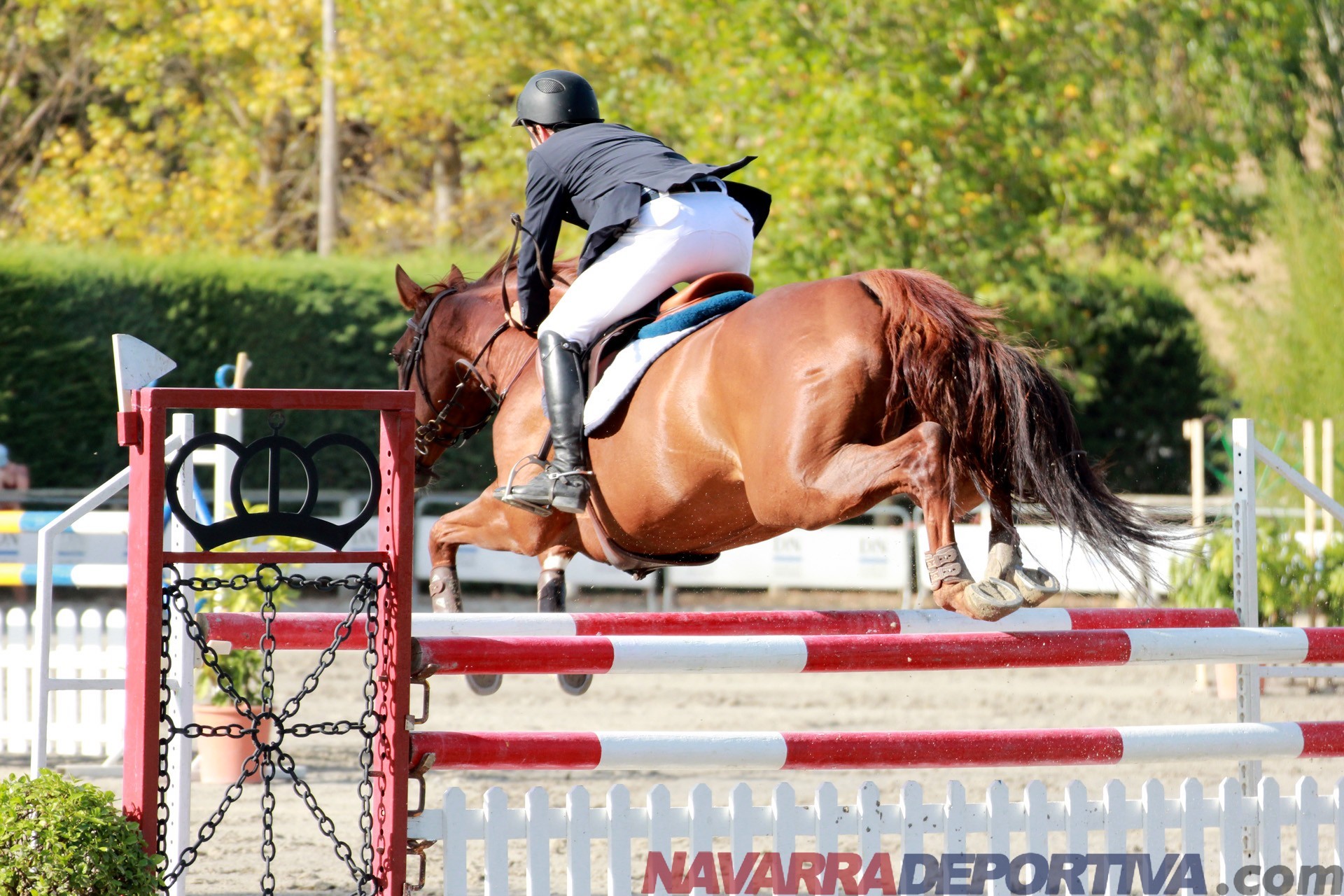 XXIII. CSN** San Fermin Memorial Teresa Moreno Adjuntamos notas de prensa diarias, fotos y resultados del concurso